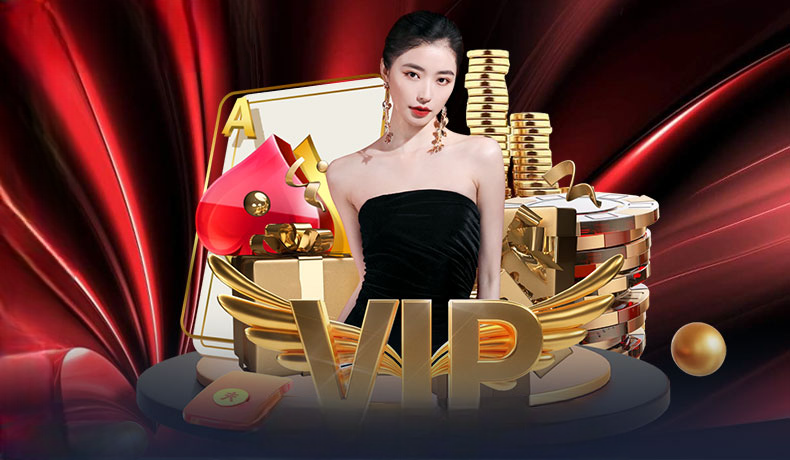 Điều Khoản Sử Dụng Betvn – Quy Định & Nguyên Tắc Sử Dụng